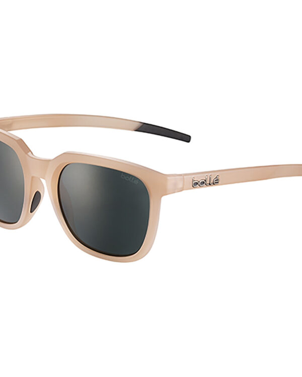 Sončna očala Bolle TALENT TNS